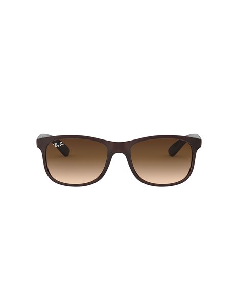 0RB4202 607313 55